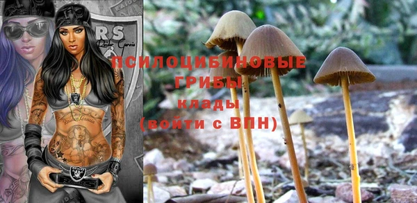 МДПВ Верхнеуральск
