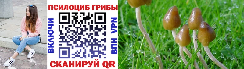 Галлюциногенные грибы прущие грибы Хабаровск